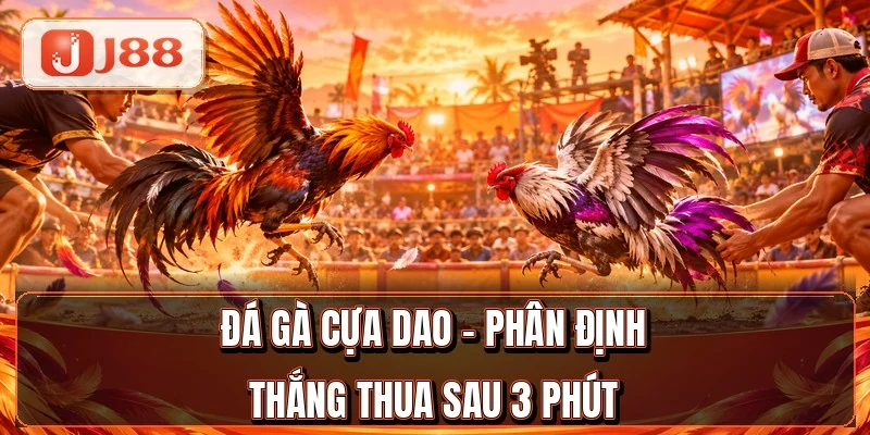 Đá Gà Cựa Dao - Phân Định Thắng Thua Sau 3 Phút 3 Đá Gà Cựa Dao - Phân Định Thắng Thua Sau 3 Phút