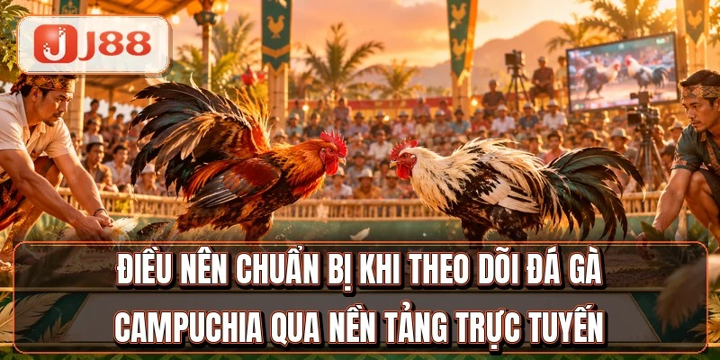 Đá Gà Campuchia - Top 4 Trường Gà Nổi Tiếng Nhất 4 Chuẩn bị kỹ lưỡng trước khi theo dõi và đặt cược đá gà Campuchia