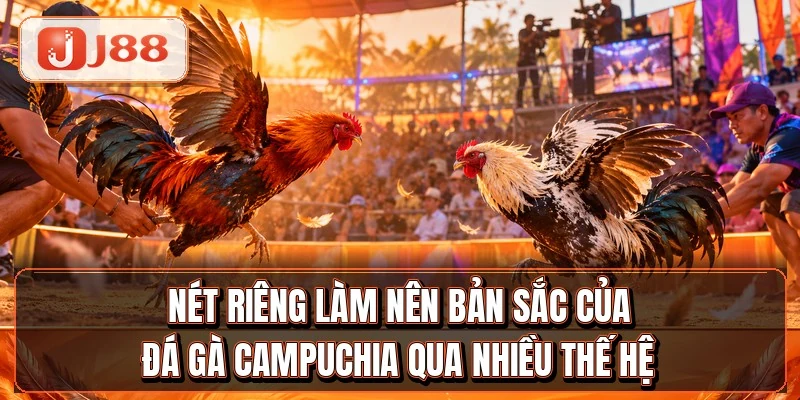 Đá Gà Campuchia - Top 4 Trường Gà Nổi Tiếng Nhất 2 Nét riêng làm nên bản sắc của đá gà Campuchia qua nhiều thế hệ