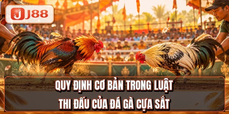 Đá Gà Cựa Sắt - 6 Yếu Tố Quyết Định Thắng Thua 2 Quy định cơ bản trong luật thi đấu của đá gà cựa sắt