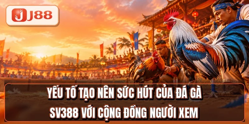 Đá Gà SV388 - Nối Sóng 4 Bồ Gà Lớn Campuchia 2 Yếu tố tạo nên sức hút của đá gà SV388 với cộng đồng người xem